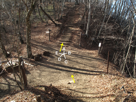 20171128hike (143)